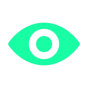 Our Vision
